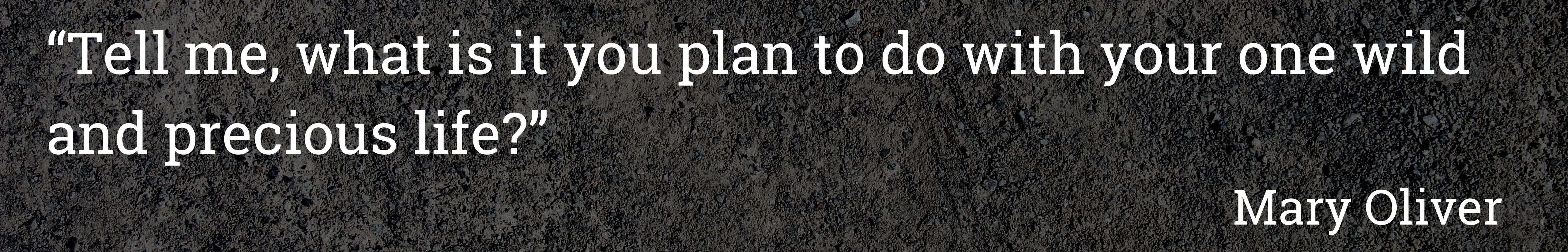 Quote: “Tell me, what is it you plan to do with your one wild and precious life? Mary Oliver