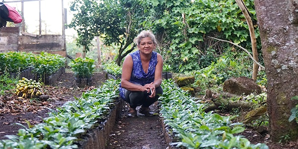 Image that complements MotMot Coffee: Helping Nicaraguan and Vietnamese Farmers through Direct Trade