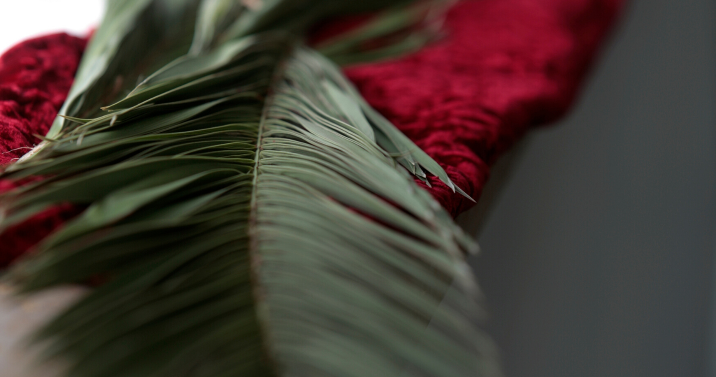 a palm frond lays on a window sill, over a red fabric