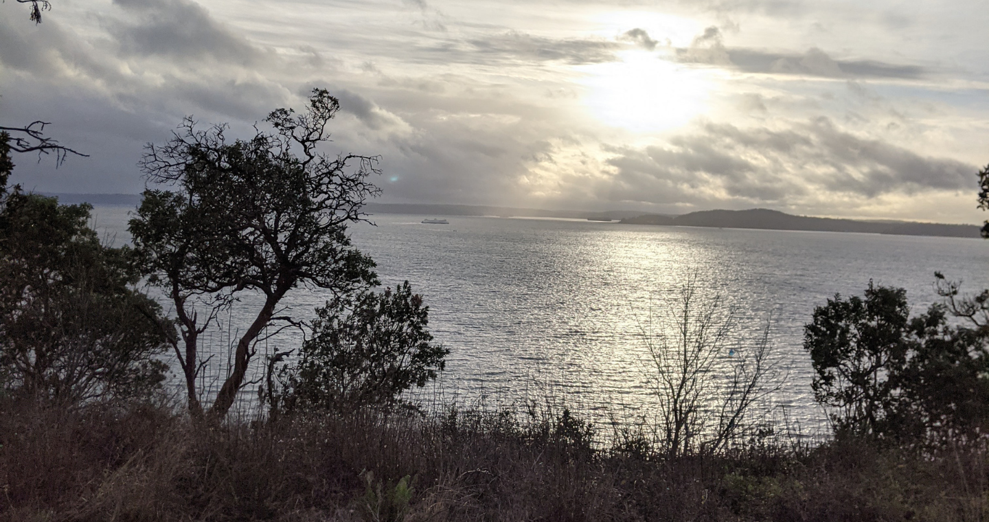 sunlight breaks through a cloudy sky over water with trees in the foreground