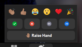  Screenshot of Zoom Reactions options
