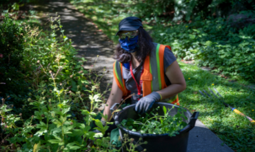 A photo of someone gardening on campus