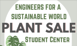 24 esw plant sale