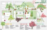 Tree Map of SU Campus