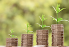 a photo of 4 coin piles of increasing amounts with plant buds on top to represent asset growth in sustainable investments