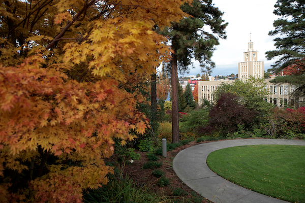 SU Campus in fall with leaves turning gold