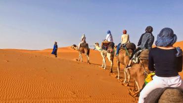 Riding camels in the desert