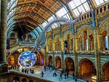 Inside the National History Museum in London