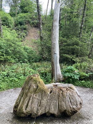 One of the sites of the Confluence Project, large rock and trees