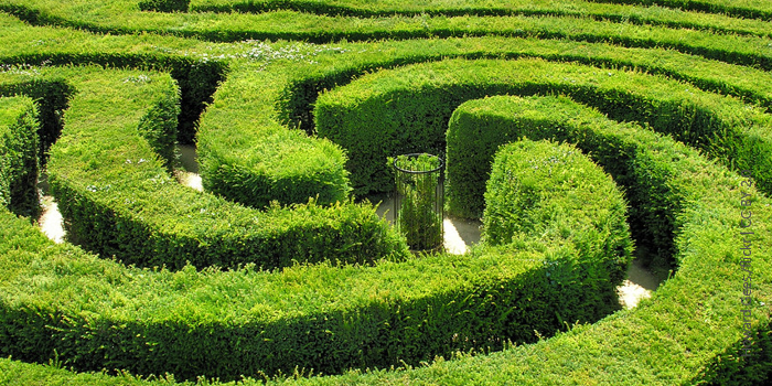 Hedge maze