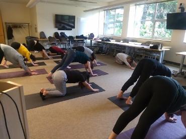 Students doing yoga