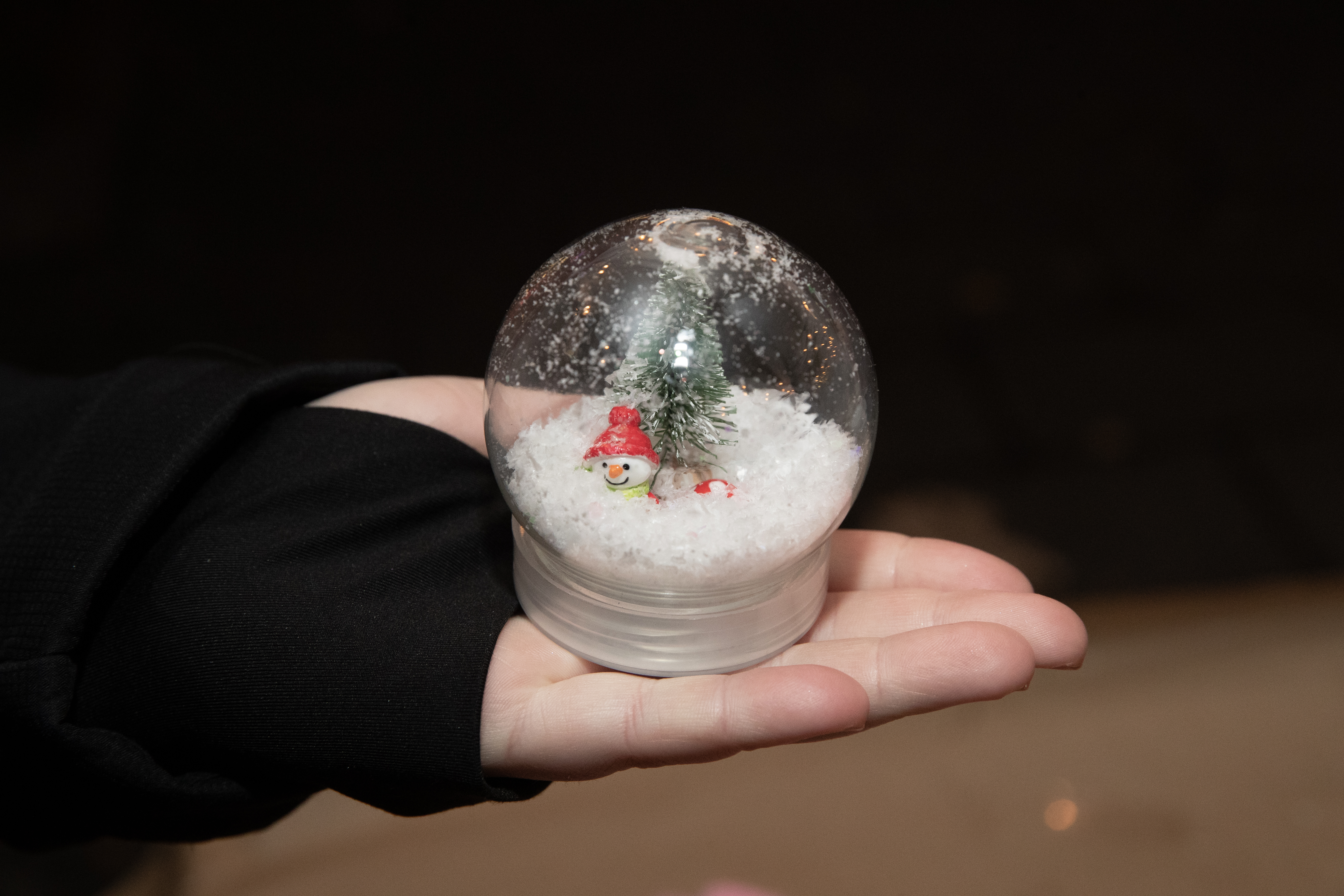 Snow globe photo