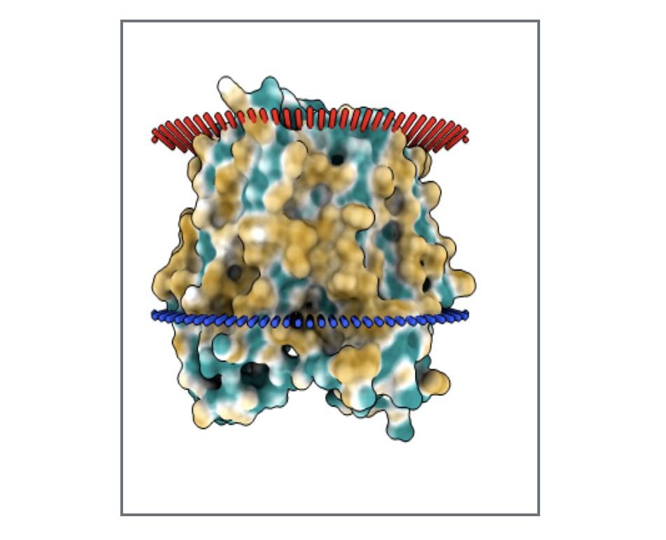 A small screenshot of the Super Genetics website. Showcasing a simulation of the lactose operon, designed to help students learn and master simple genetic concepts using the lactose operon as a basic example.