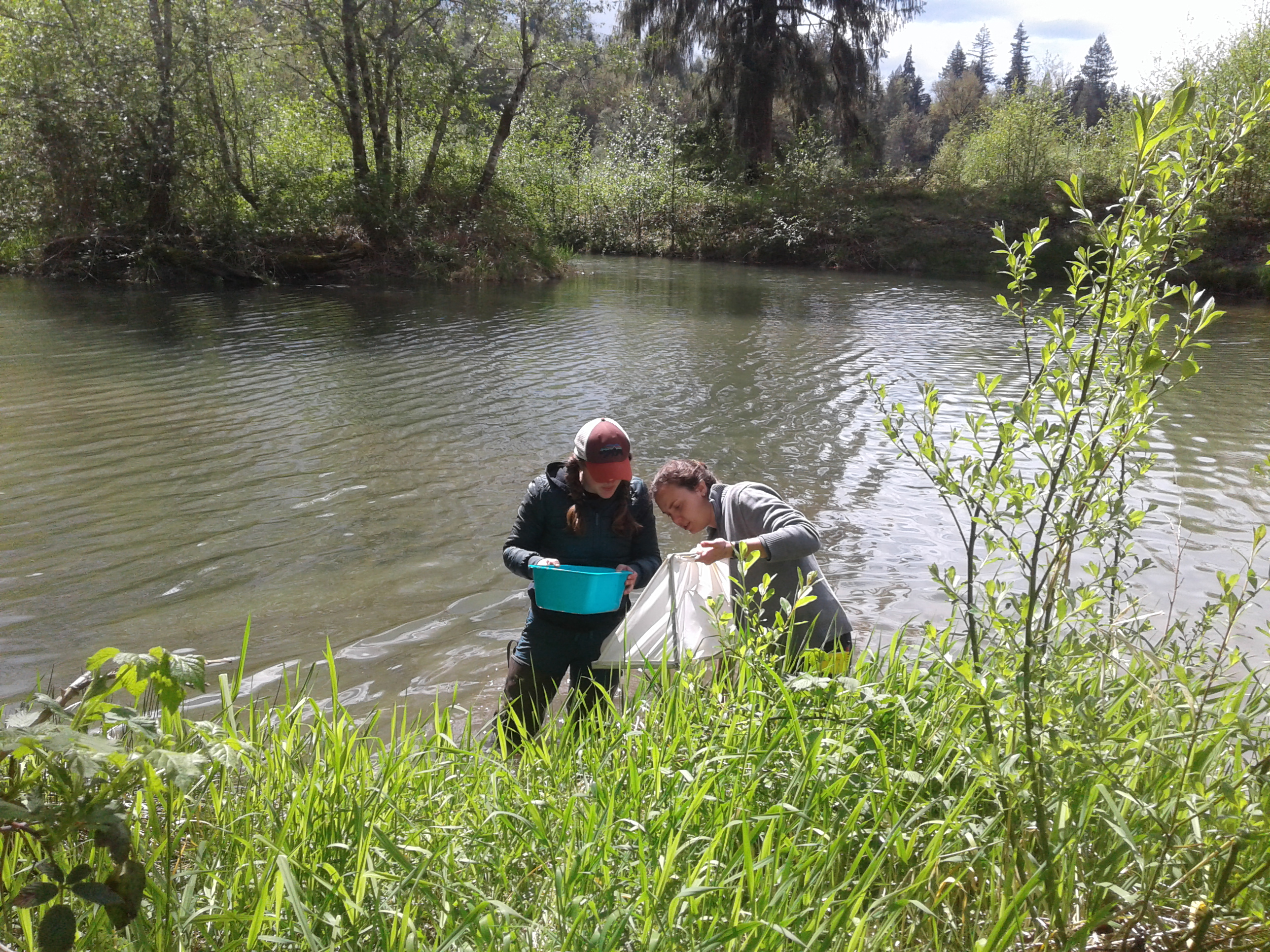 Environmental science students taking water samples