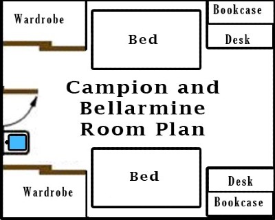 Standard Single Room Layout