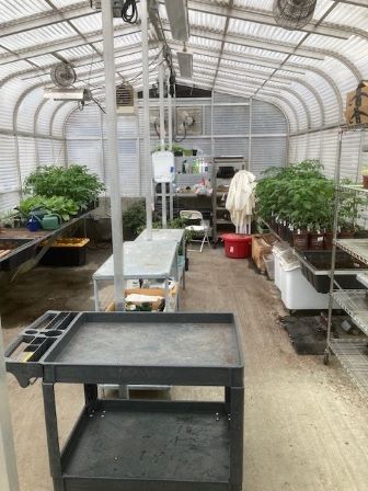 Greenhouse