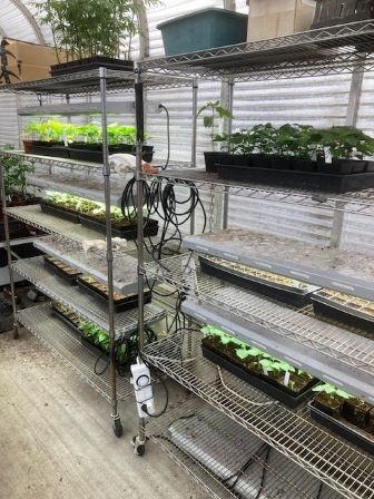 Greenhouse interior.