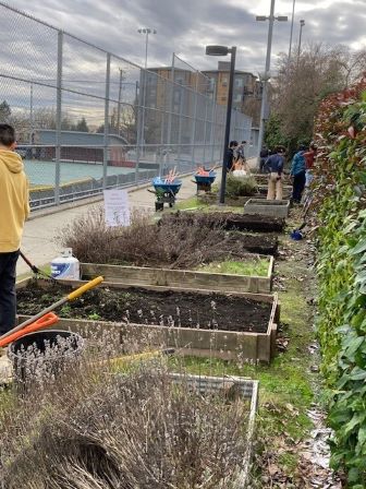 Chardin garden rennovation.