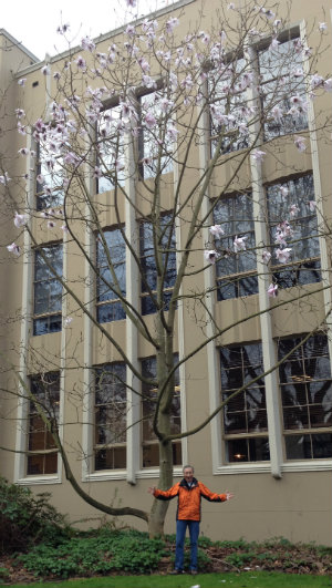 Ciscoe Morris standing in front of the Magnolia tree at the Admin Building