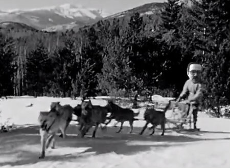 photoshopped image of Father Steve as a dogsled priest 