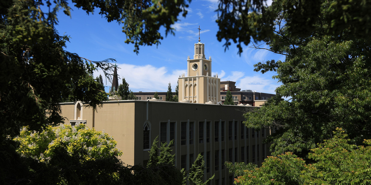 Admin building roof top and surrounding trees