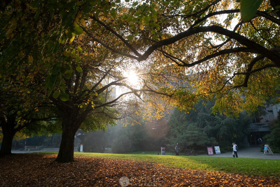 Fall Campus