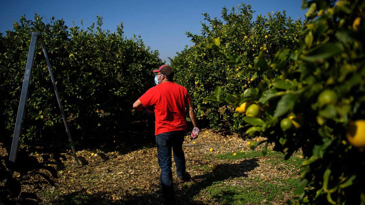 Supreme Court Rules Against Union Organizers