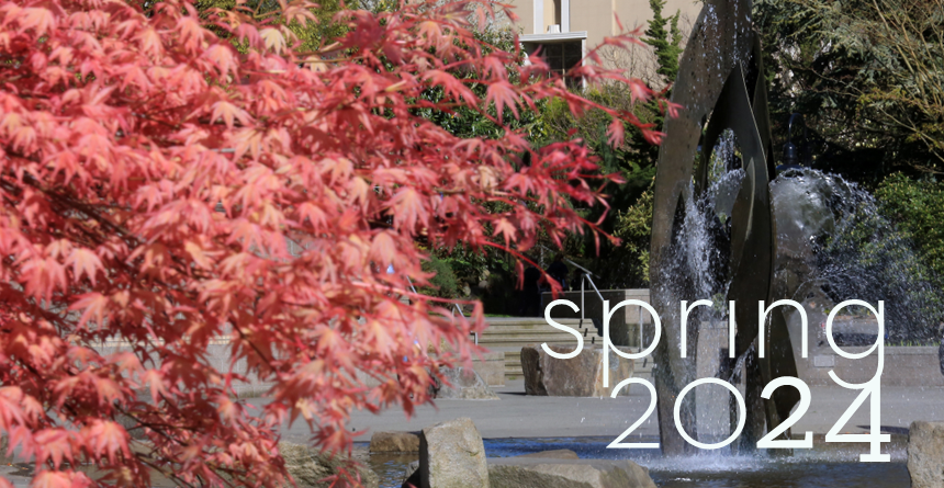 Image of a fountain and a tree on a sunny day