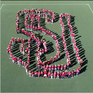 Students stand in an SU interlock pattern for their class photo