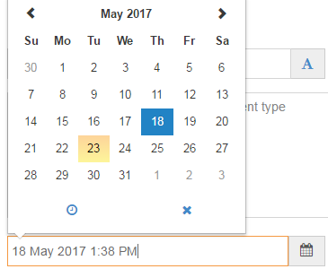 Screenshot of the T4 date picker