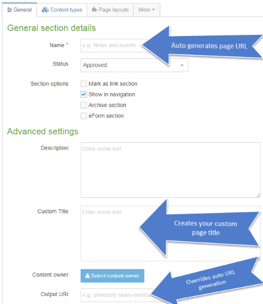 Screen shot of all the fields for generating page URL and page title