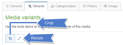 Screenshot of how to edit images in T4 under the Variants tab using crop and resize