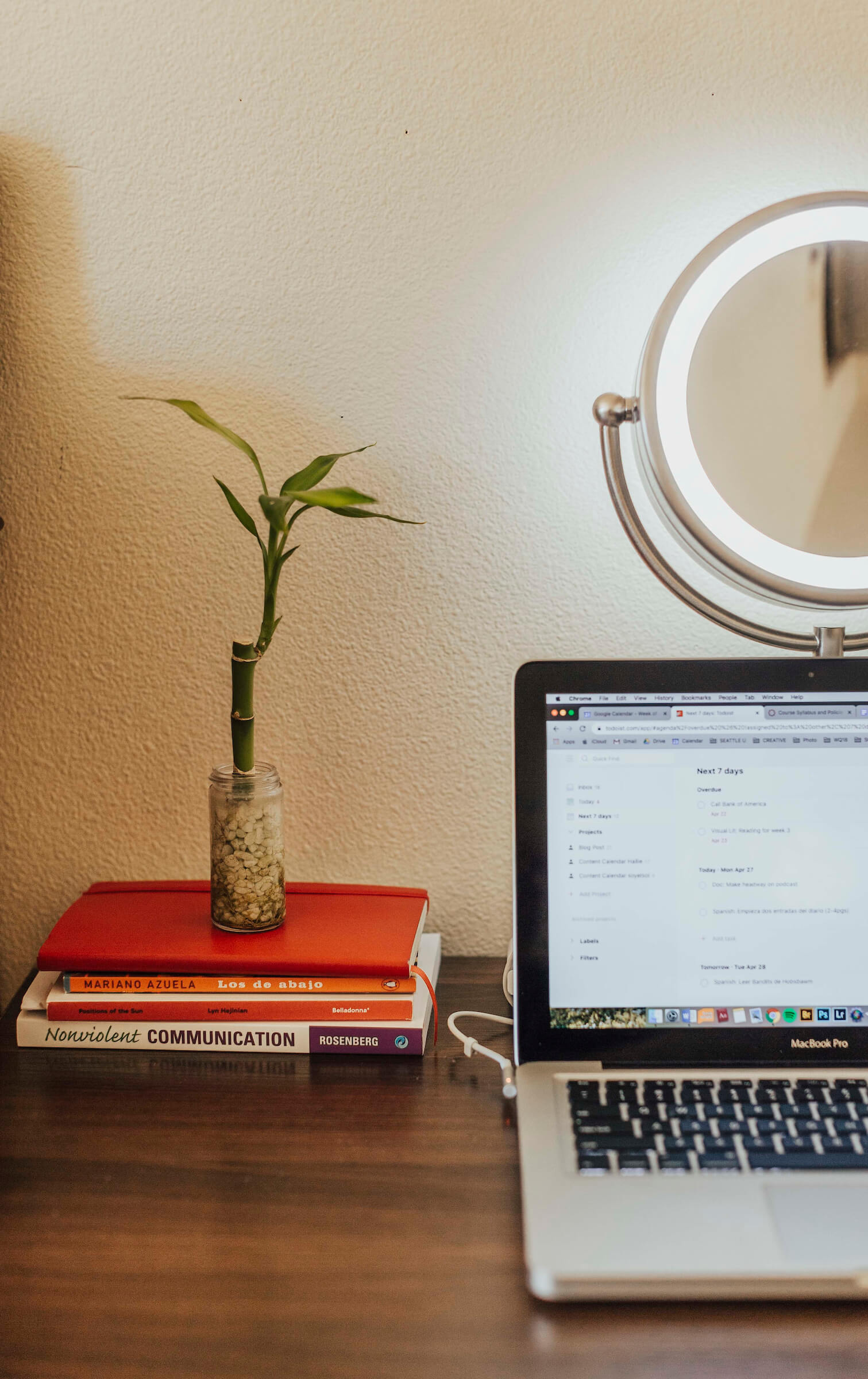 Hallie's desk with books, a plant, a lighted mirror and laptop