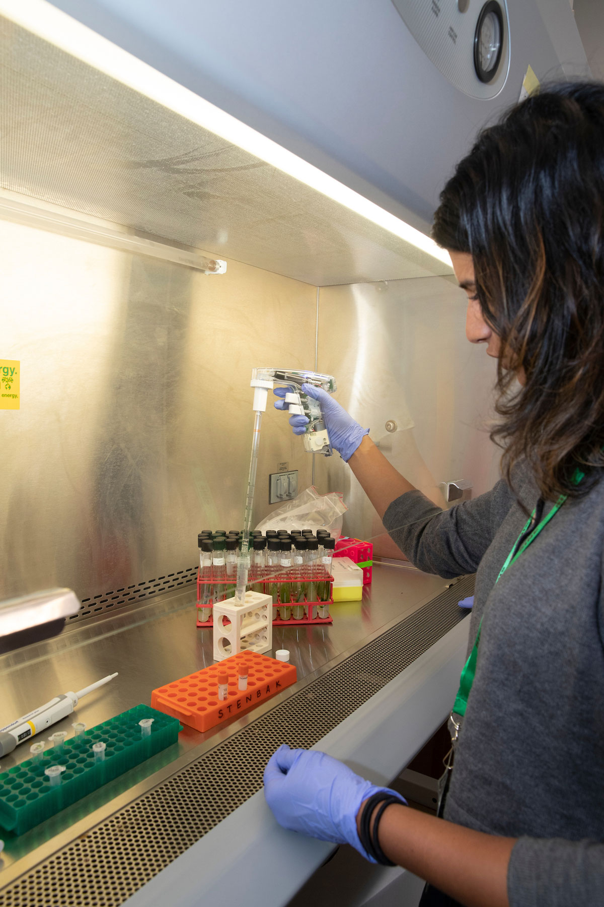 Student doing research in a lab in the Sinegal Center