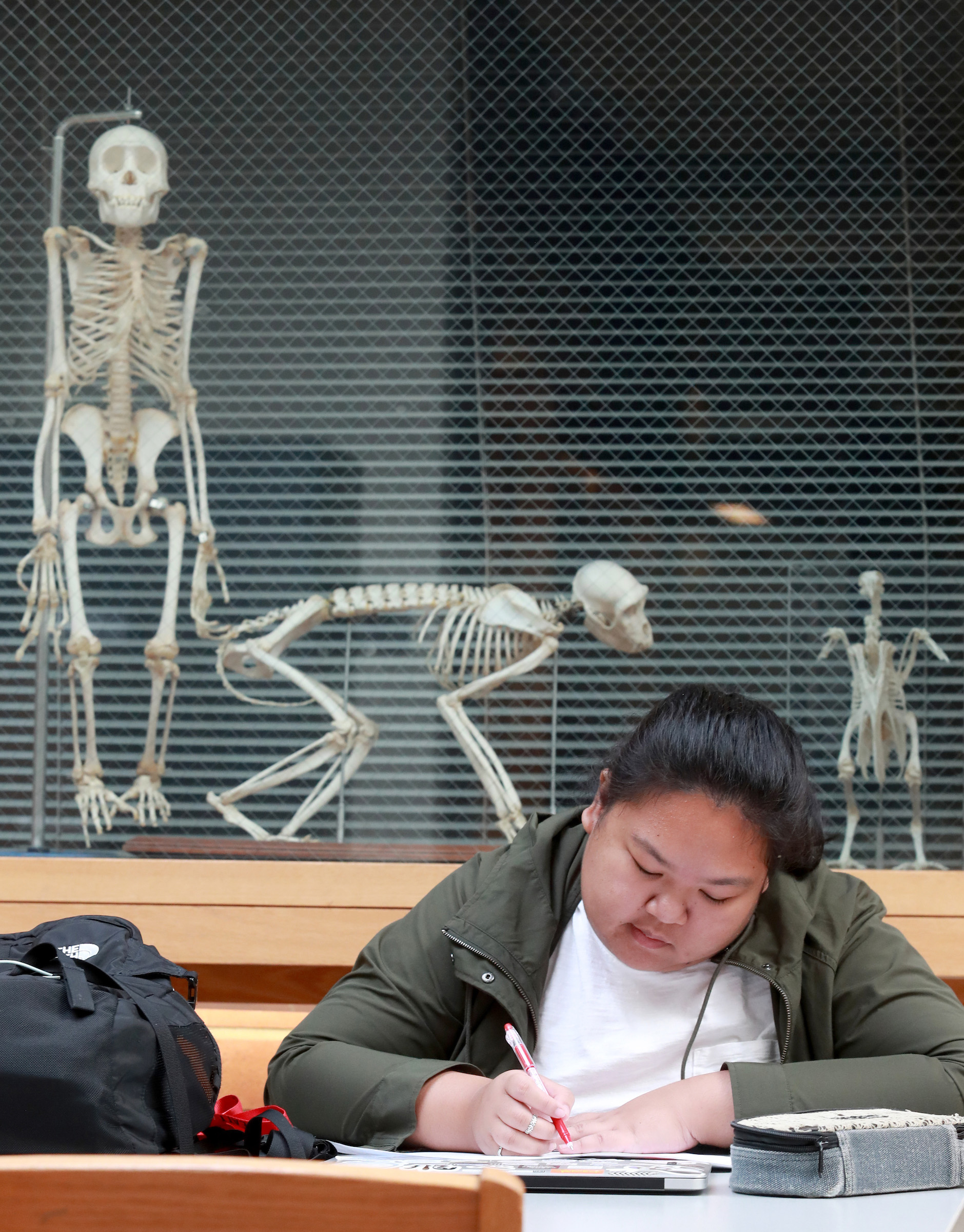 Student studying in a science class.