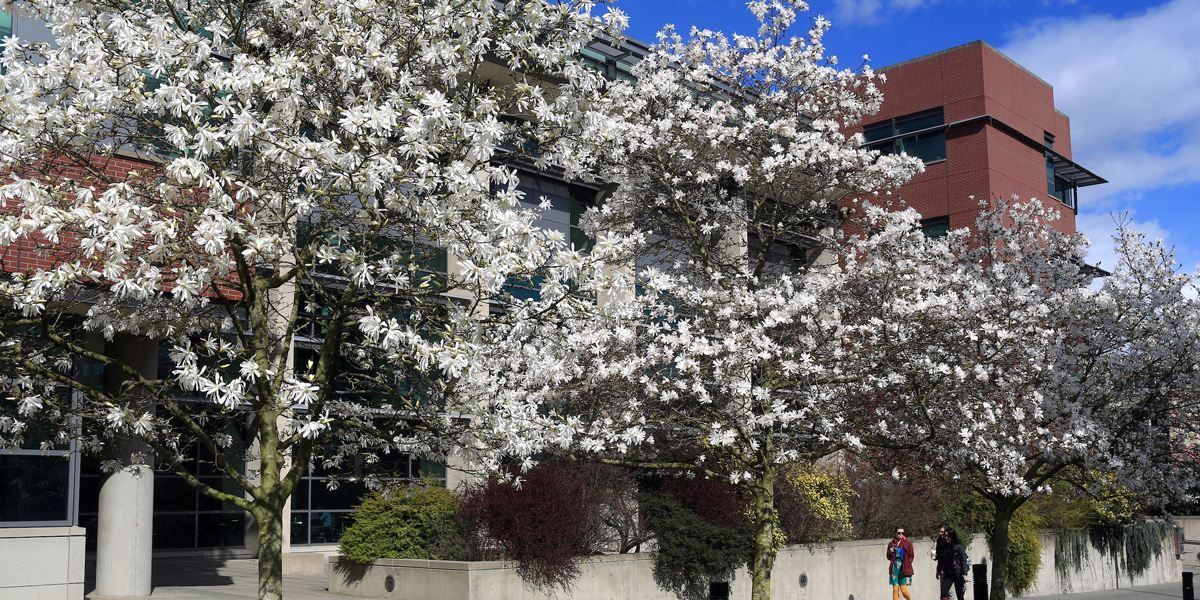 Sullivan Hall School of Law in the Spring