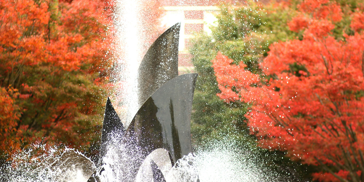 Seattle U Campus in the Fall