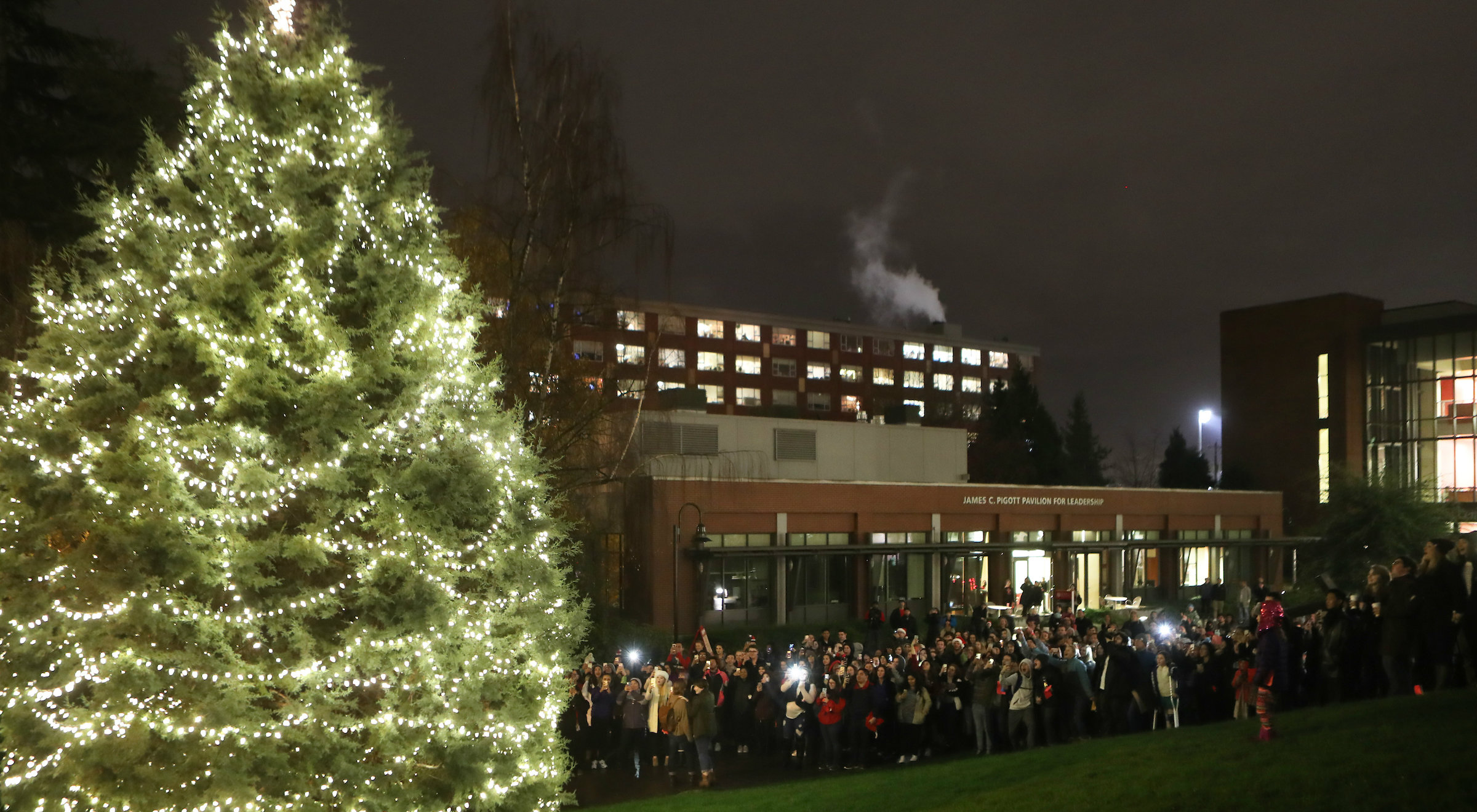 Christmas Tree Lighting