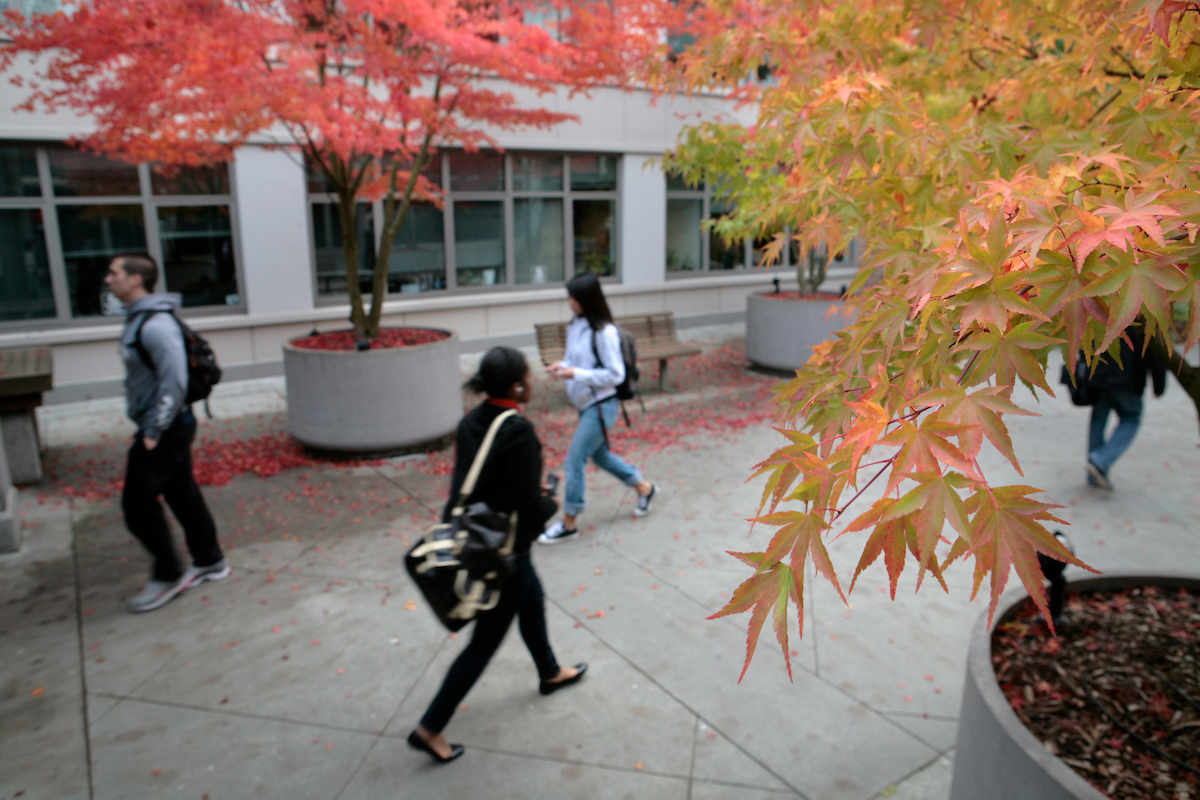 Fall colors on campus