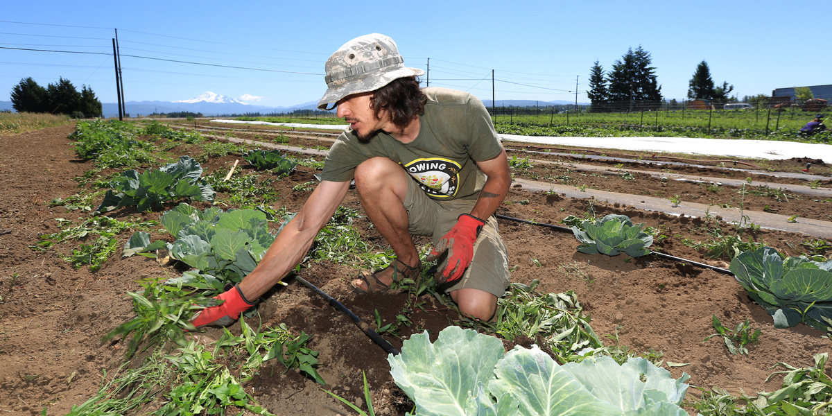 a veteran spending time on a farm as a way to relax