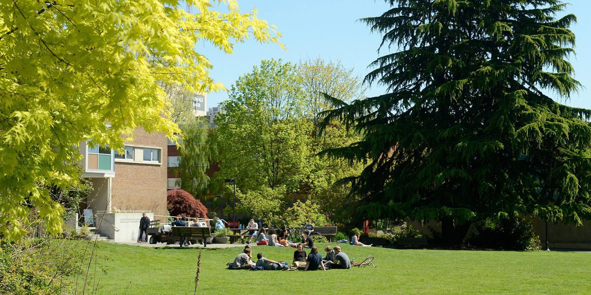 students hanging out at Union Green park in the Spring