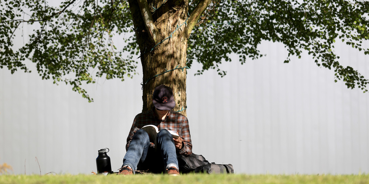 a student reading in front of a large tree on campus