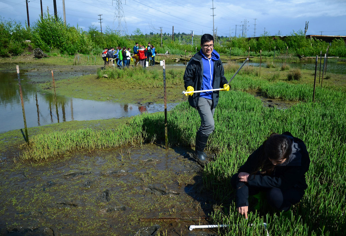   Ecology Field Trip